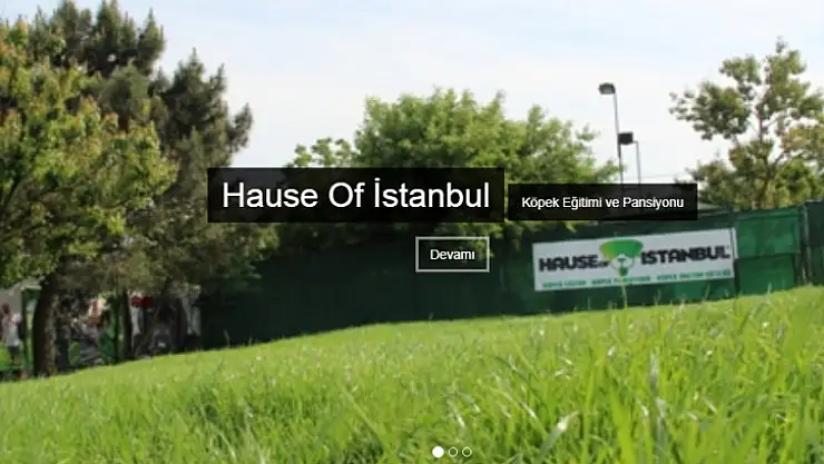 İstanbul'un En İyi Köpek Okulu Hangisi?