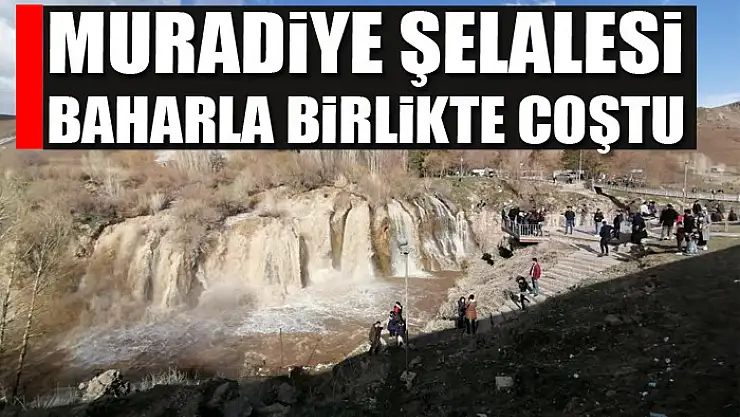 Muradiye Şelalesi baharla birlikte coştu