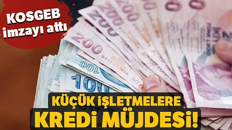 KOSGEB, JICA ile 300 milyon dolarlık kredi anlaşması imzaladı