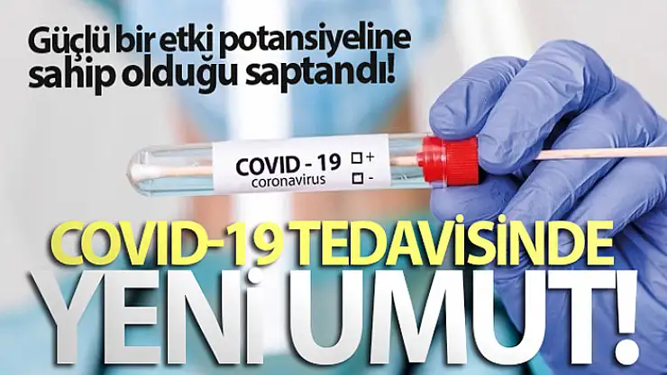 Covid-19 tedavisinde yeni umut