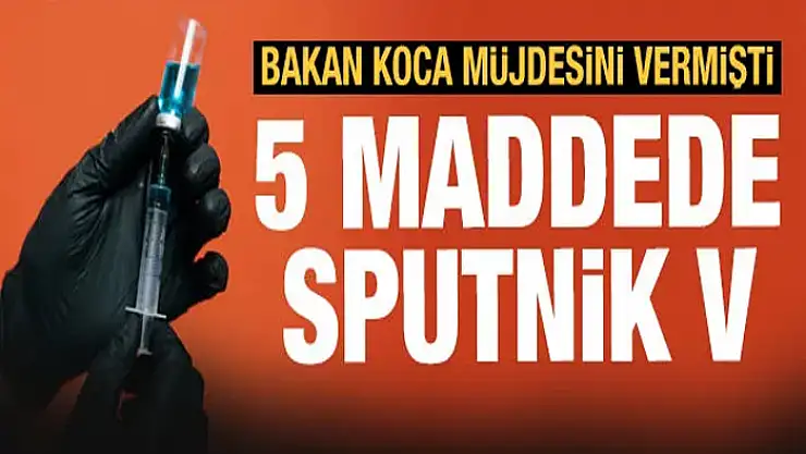 5 maddede Sputnik V aşısı: Ne kadar etkili?