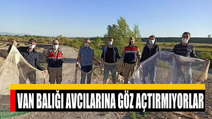 VAN BALIĞI AVCILARINA GÖZ AÇTIRMIYORLAR