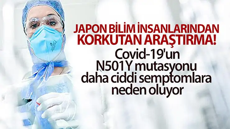 Japon bilim insanlarından korkutan araştırma