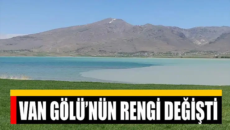 Van Gölü'nün rengi değişti
