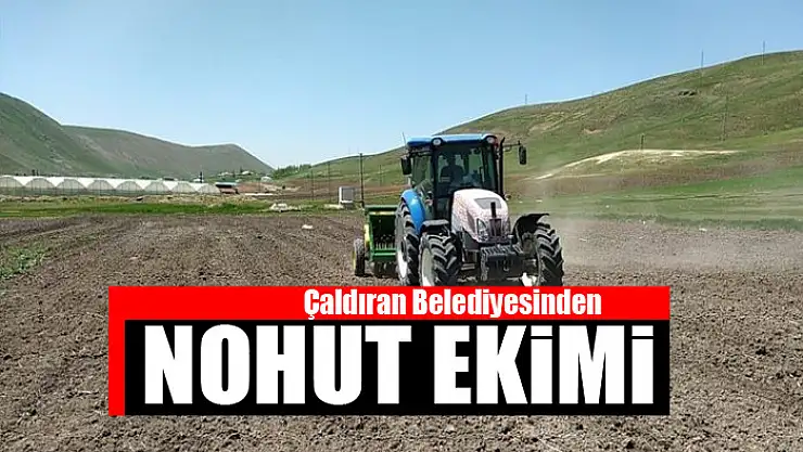 Çaldıran Belediyesinden nohut ekimi