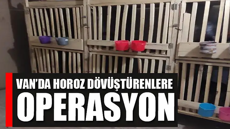 Van'da horoz dövüştürenlere operasyon