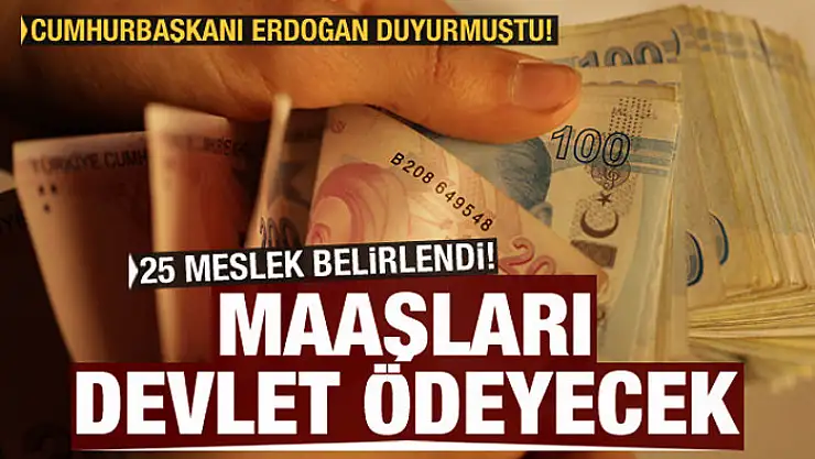 25 meslek belirlendi, ücretlerini devlet ödeyecek! Başkan Erdoğan açıklamıştı