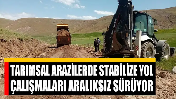 Tarımsal arazilerde stabilize yol çalışmaları aralıksız sürüyor