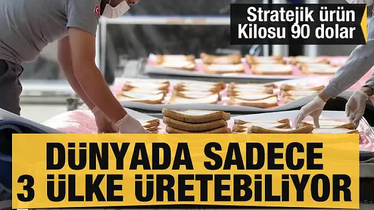 Türkiye bu alanda dünyadaki üç ülkeden biri! İhracat değeri 90 dolar