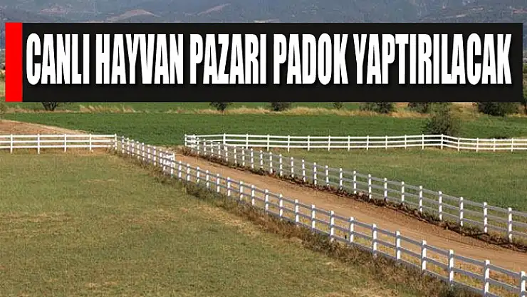 Canlı hayvan pazarı Padok yaptırılacak