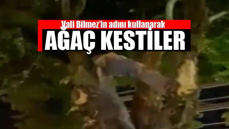Vali Bilmez'in adını kullanarak ağaç kestiler