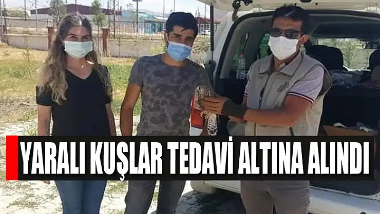 Yaralı kuşlar tedavi altına alındı