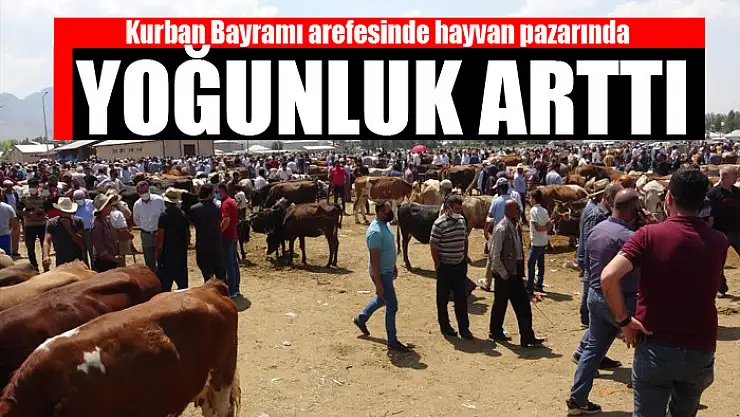 Kurban Bayramı arefesinde hayvan pazarında yoğunluk arttı
