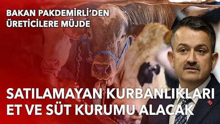Bakan Pakdemirli: Satılamayan kurbanlıkları Et ve Süt Kurumu alacak