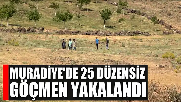 Muradiye'de 25 düzensiz göçmen yakalandı