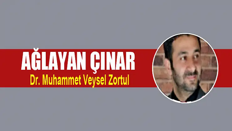 Ağlayan Çınar