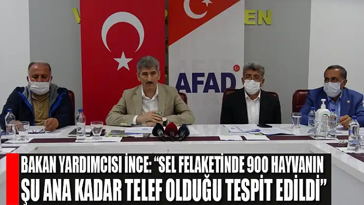 İçişleri Bakan Yardımcısı İnce: 'Sel felaketinde 900 hayvanın şu ana kadar telef olduğu tespit edildi'