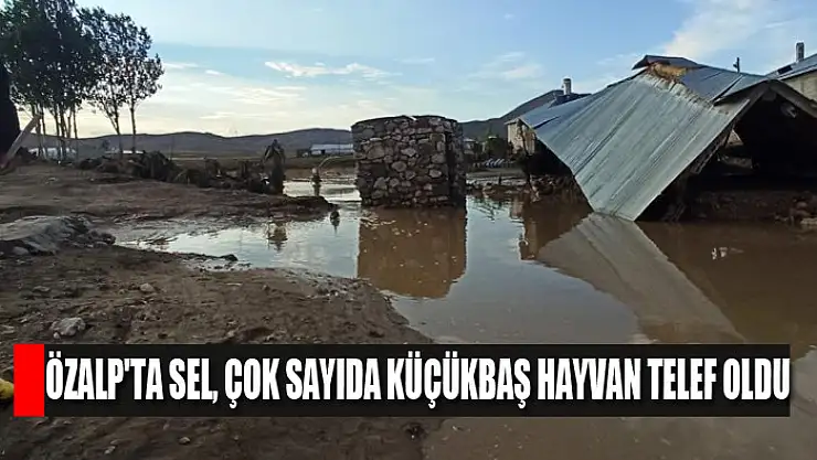 Özalp'ta sel, çok sayıda küçükbaş hayvan telef oldu