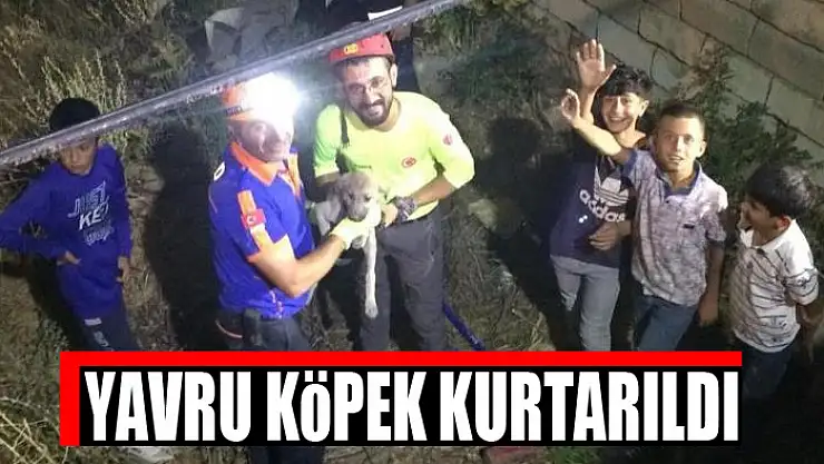 YAVRU KÖPEK KURTARILDI