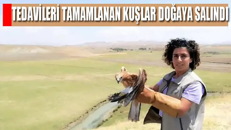 Tedavileri tamamlanan kuşlar doğaya salındı