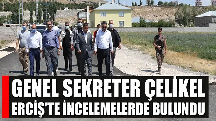 GENEL SEKRETER ÇELİKEL, ERCİŞ'TE İNCELEMELERDE BULUNDU
