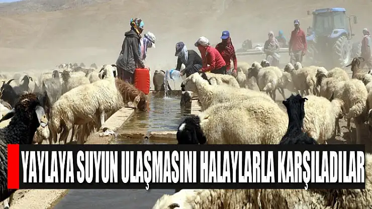 Yaylaya suyun ulaşmasını halaylarla karşıladılar