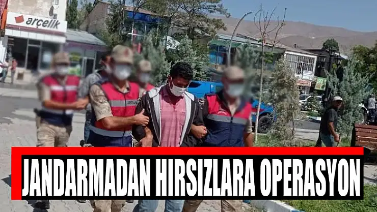 Jandarmadan hırsızlara operasyon