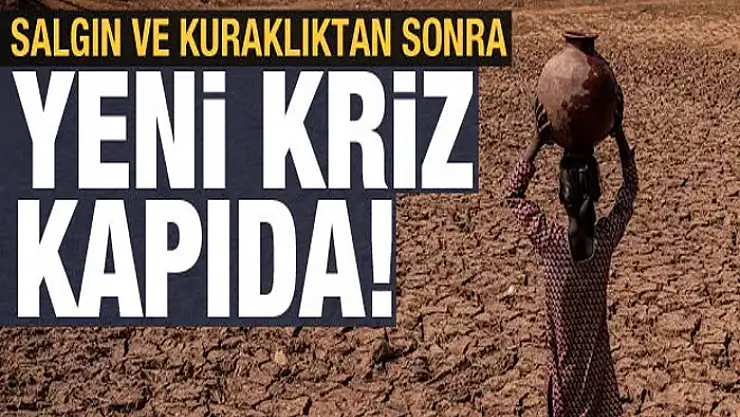 Salgın ve kuraklıktan sonra yeni tehlike: Gıda krizi