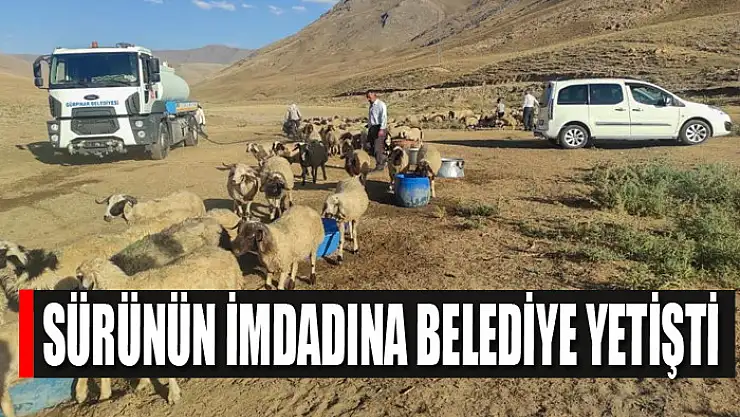 Gürpınar'da sürünün imdadına belediye yetişti