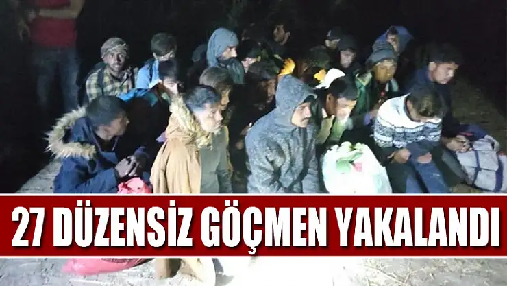 Muradiye'de 27 düzensiz göçmen yakalandı