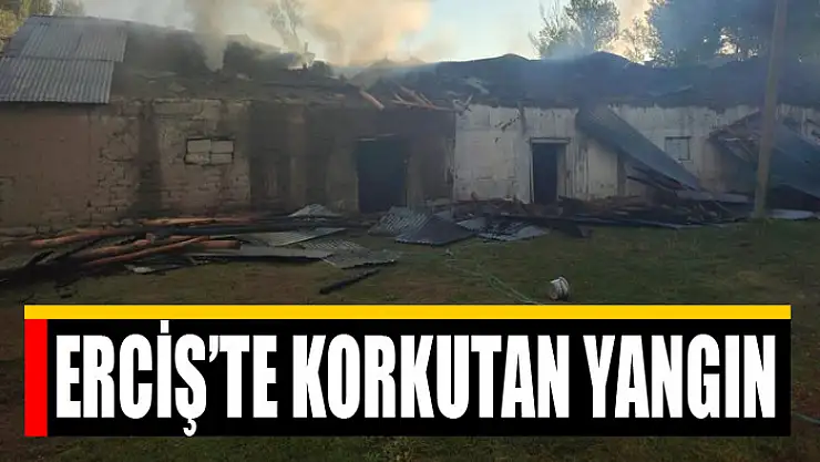 Erciş'te korkutan yangın