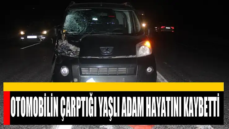 Otomobilin çarptığı yaşlı adam hayatını kaybetti