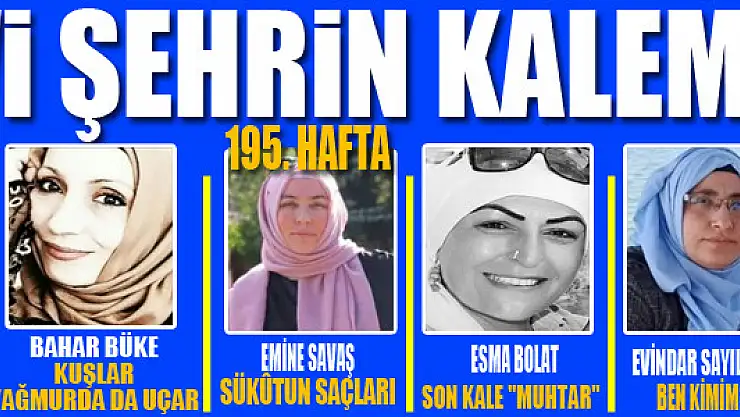 Mavi Şehrin Kalemleri
