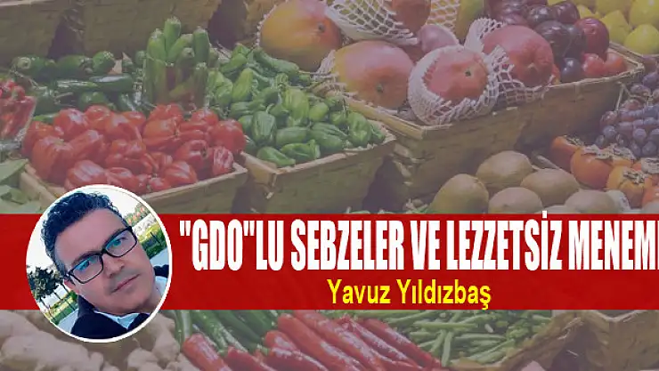 GDO'lu Sebzeler ve Lezzetsiz Menemen