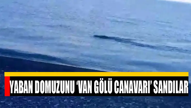 Yaban domuzunu Van Gölü Canavarı sandılar