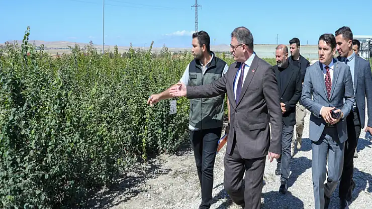 208 bin fidan toprakla buluşuyor