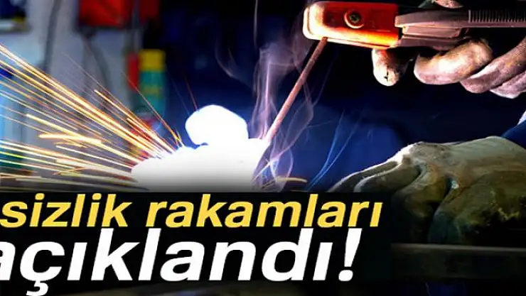 Son dakika haberleri! İşsizlik rakamları açıklandı!