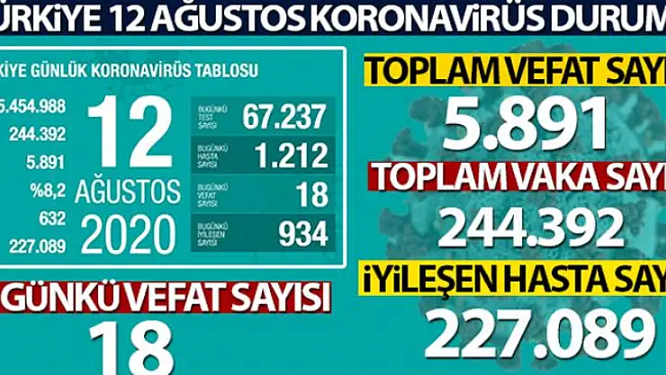 Türkiye'de son 24 saatte 1.212 kişiye Covid-19 tanısı konuldu, 18 kişi hayatını kaybetti