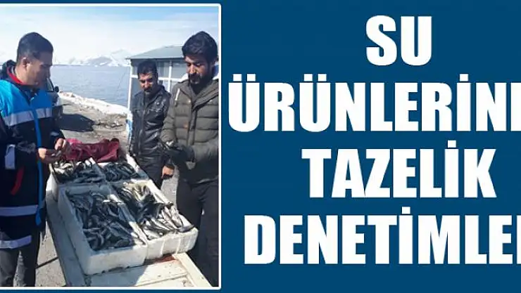 Su ürünlerinde tazelik denetimleri
