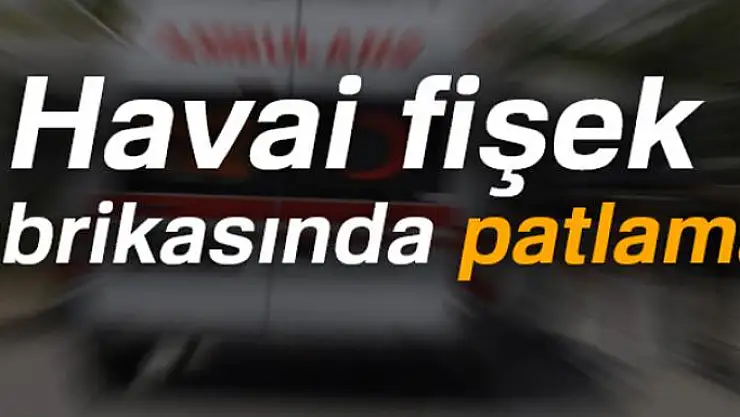 Havai fişek fabrikasında patlama: 2 ölü