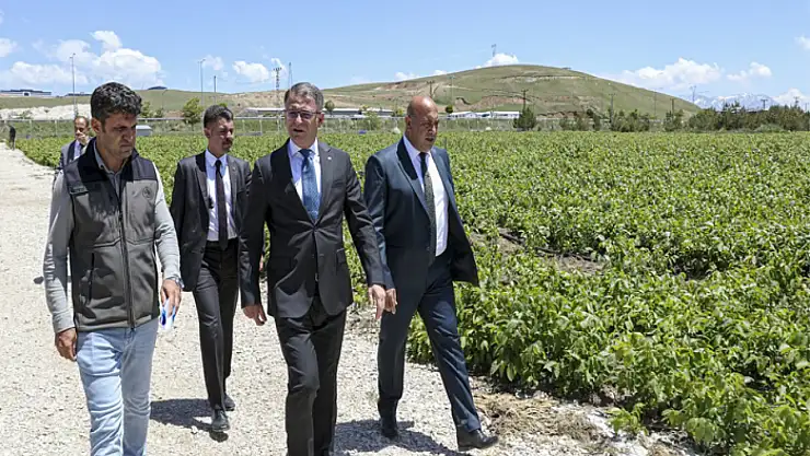 3 Milyon Fidan Projesi sürüyor