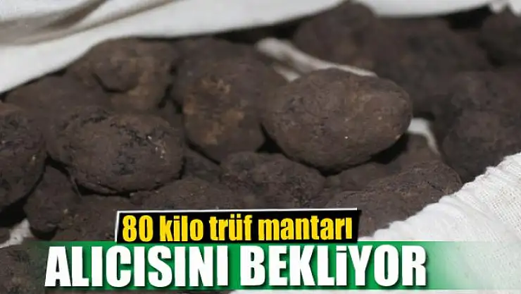 80 kilo trüf mantarı alıcısını bekliyor