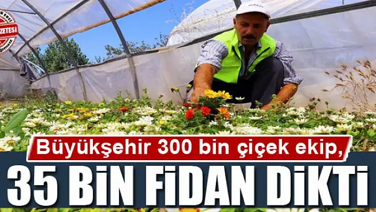 Büyükşehir Belediyesi 300 bin çiçek ekip, 35 bin fidan dikti