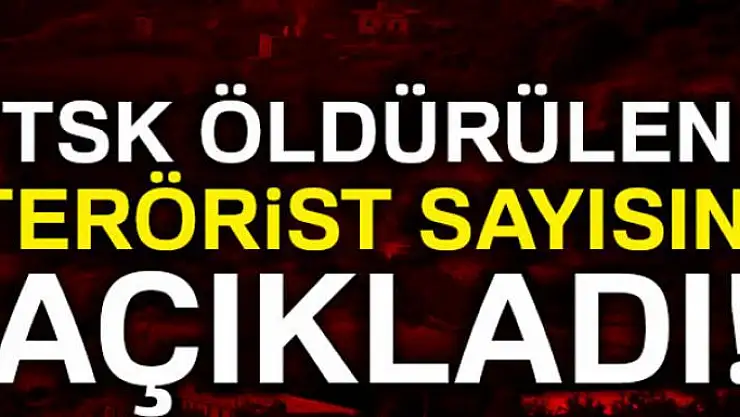 TSK öldürülen terörist sayısını açıkladı