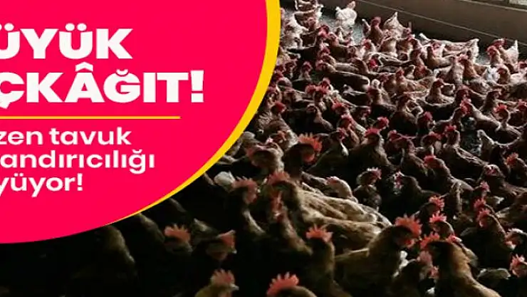 Gezen tavuk üçkâğıdı: 10 kuruşluk yumurta 1 TL'ye satılıyor