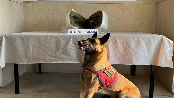 7 kilo esrar ele geçirildi: 1 gözaltı