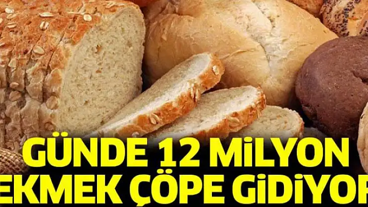 Günde 12 milyon ekmek çöpe gidiyor