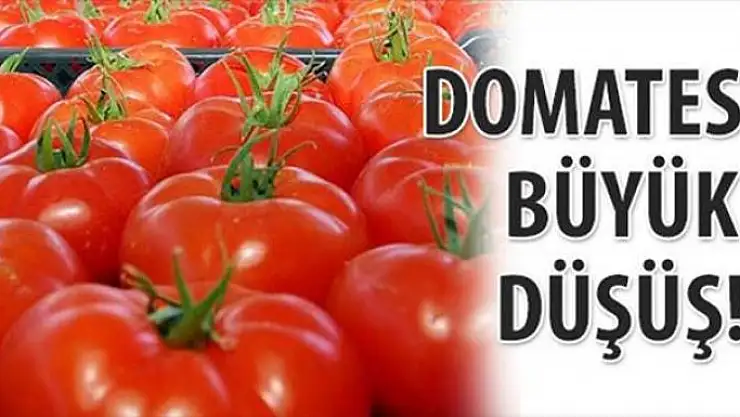 Domates fiyatlarında düşüş