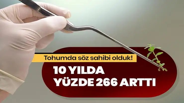 Tohumda söz sahibi olduk! 10 yılda yüzde 266 arttı