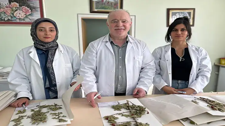 90 bin bitki örneğiyle bilimsel bir hazine: VANF Herbaryumu
